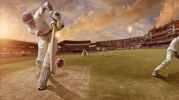 Cricket in Literature: Notable Novels and Stories Featuring the Sport