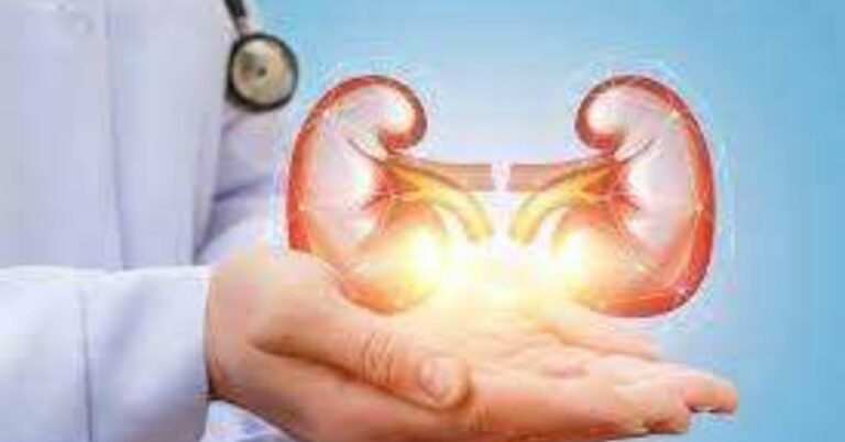 Kidney Failure Stem Cell Transplant India – A Breakthrough in Regenerative Medicine