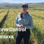 Unlocking the Power of Your Online Cricket ID: A Comprehensive Guide