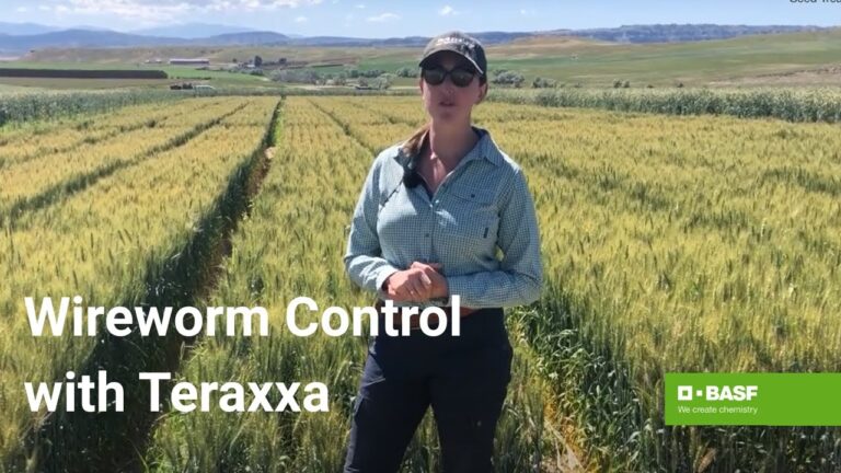 Unlocking the Power of Your Online Cricket ID: A Comprehensive Guide